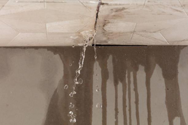 Professional Water Damage Repair technician working in Riverdale, MI